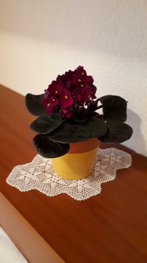 Apartman Stulic Makarska Dış mekan fotoğraf