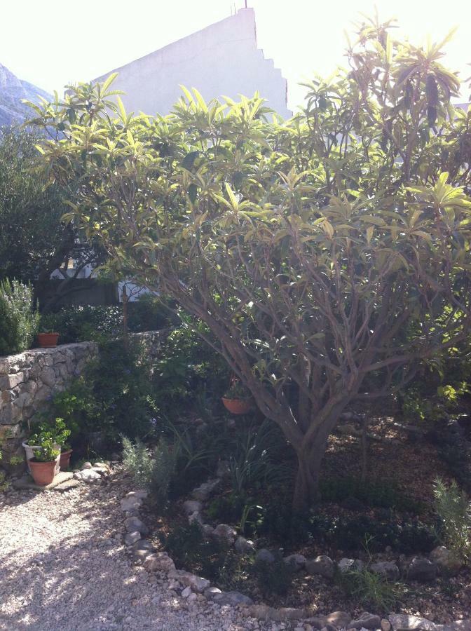 Apartman Stulic Makarska Dış mekan fotoğraf